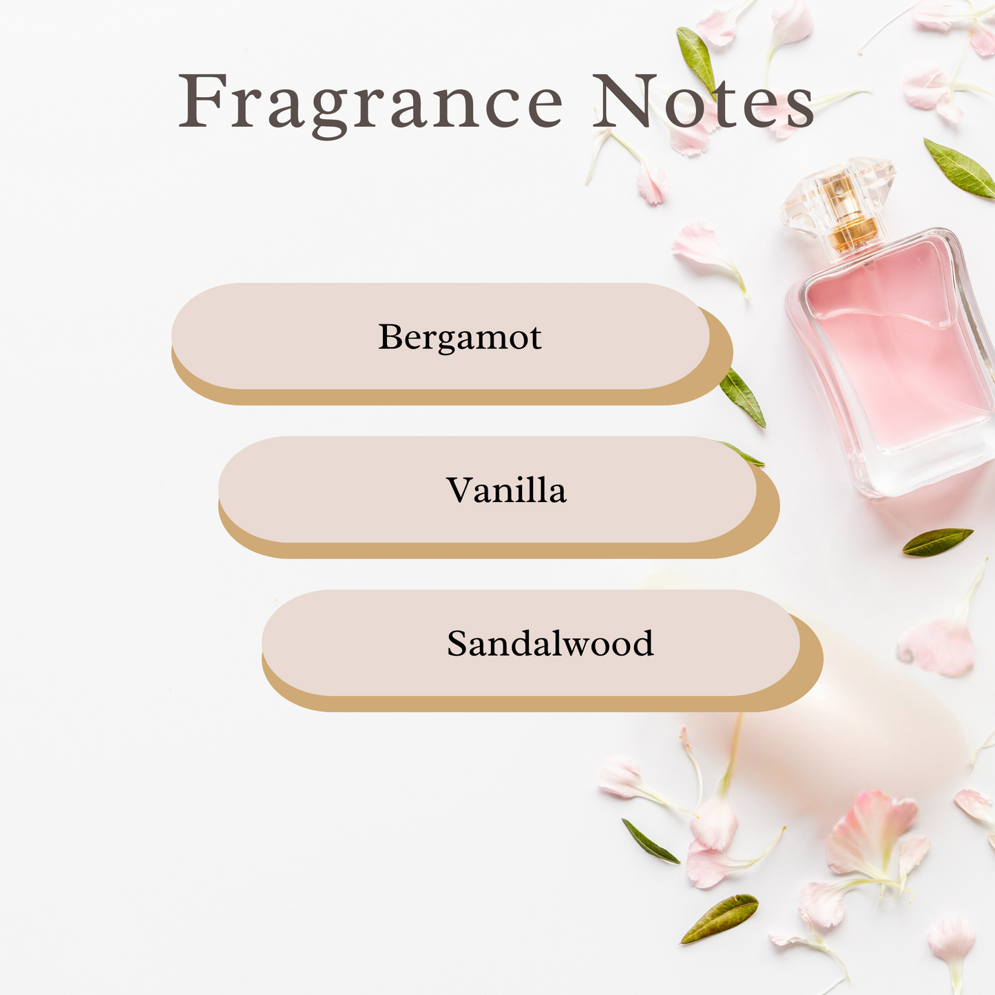 Vanilla Frost Body Oil